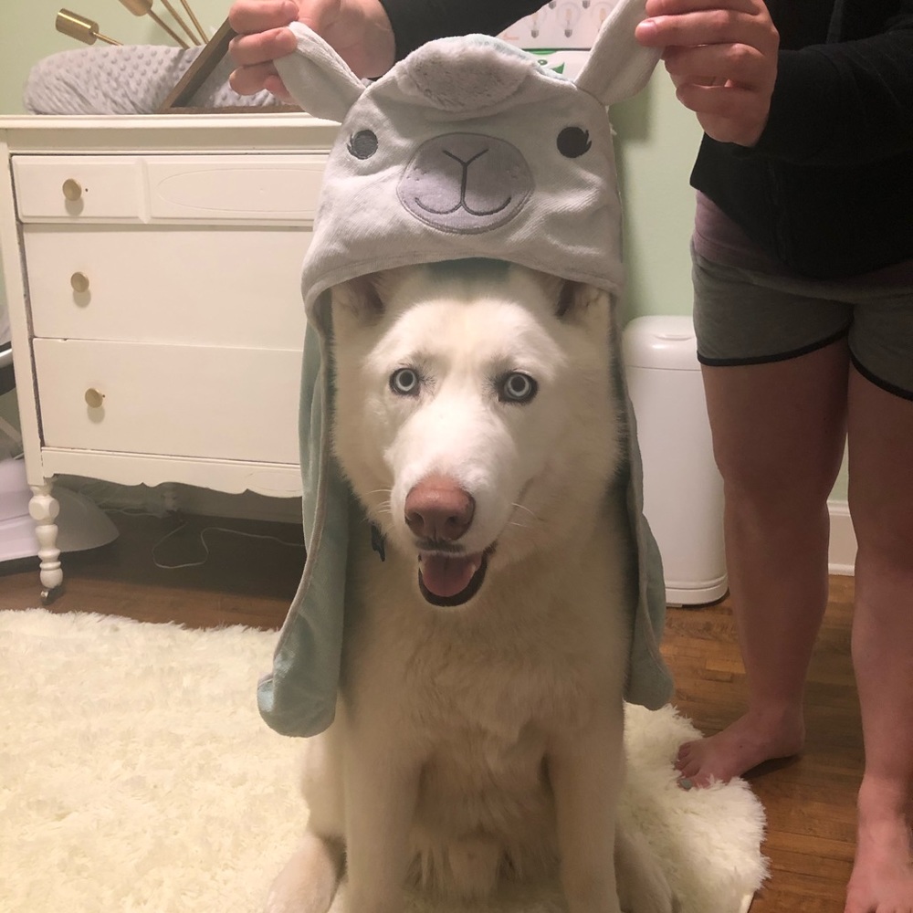 Meet your Posher, Tommy